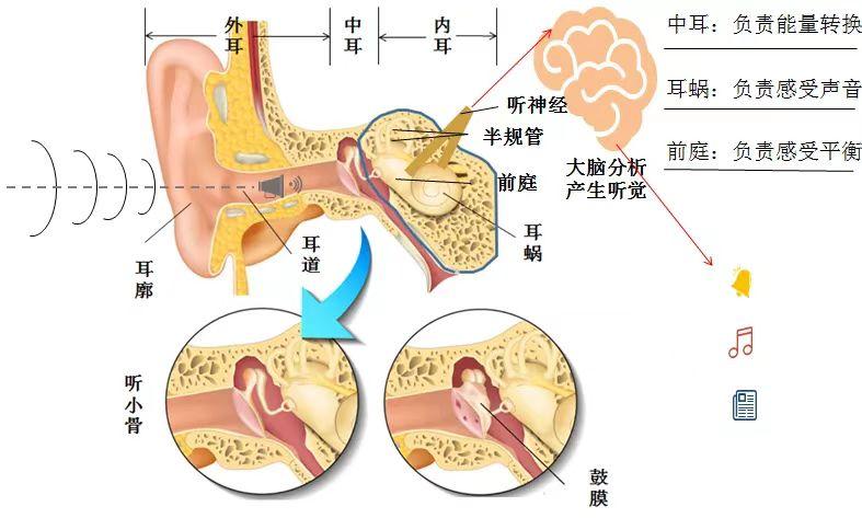 WPS图片(1).jpg
